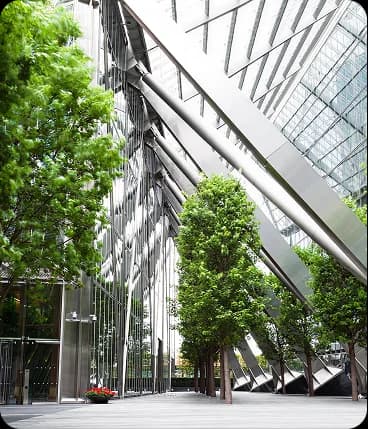 EcoGreenVision